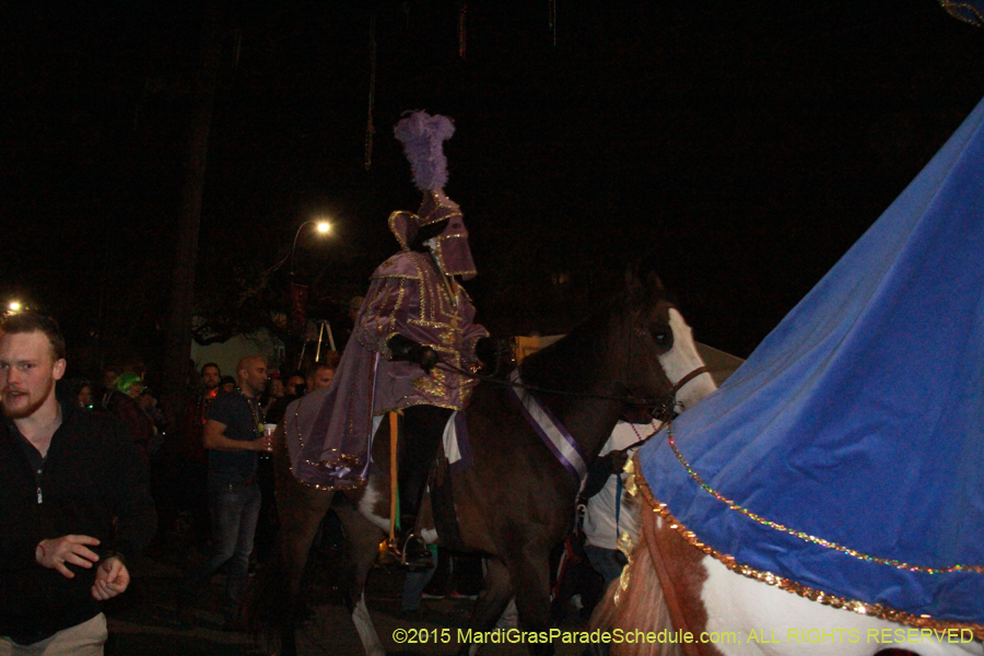 Le-Krewe-dEtat-2015-15115