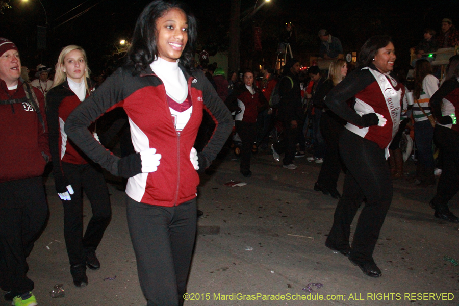 Le-Krewe-dEtat-2015-15128