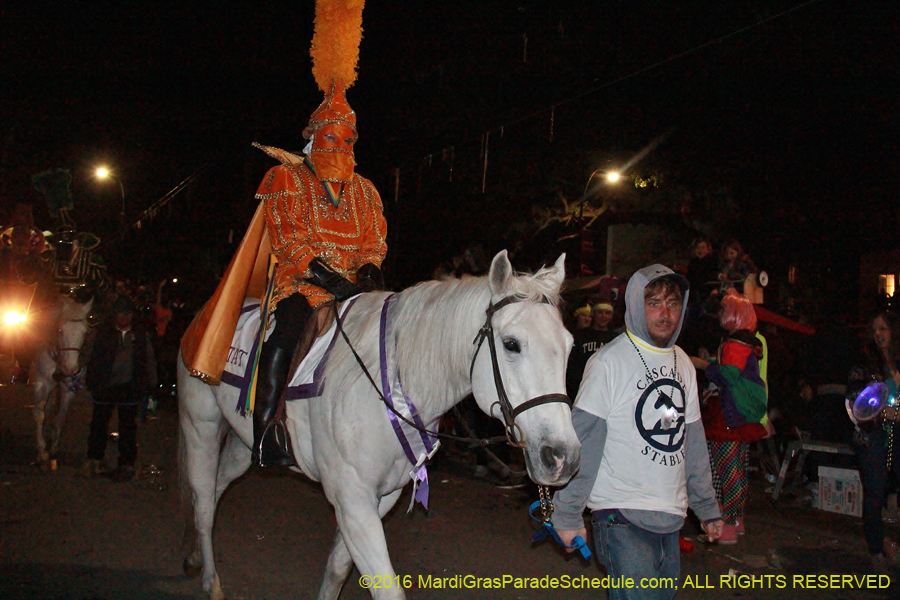 2016-le-Krewe-Detat-008670