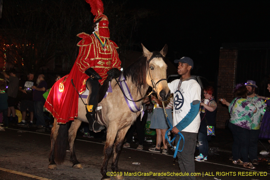 Le-Krewe-dEtat-2019-005736