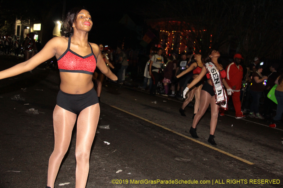 Le-Krewe-dEtat-2019-005766