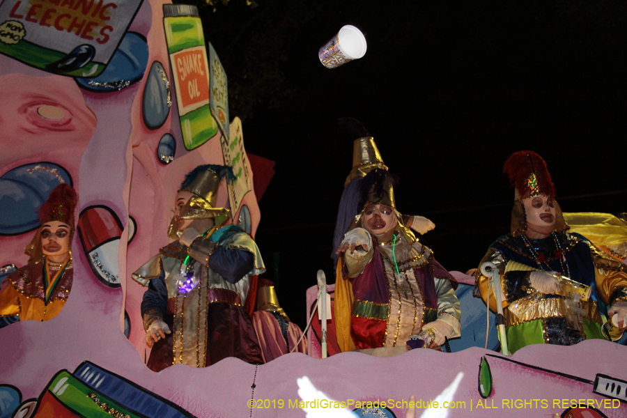 Le-Krewe-dEtat-2019-005886