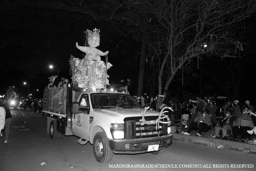 Le-Krewe-dEtat-00196-2022