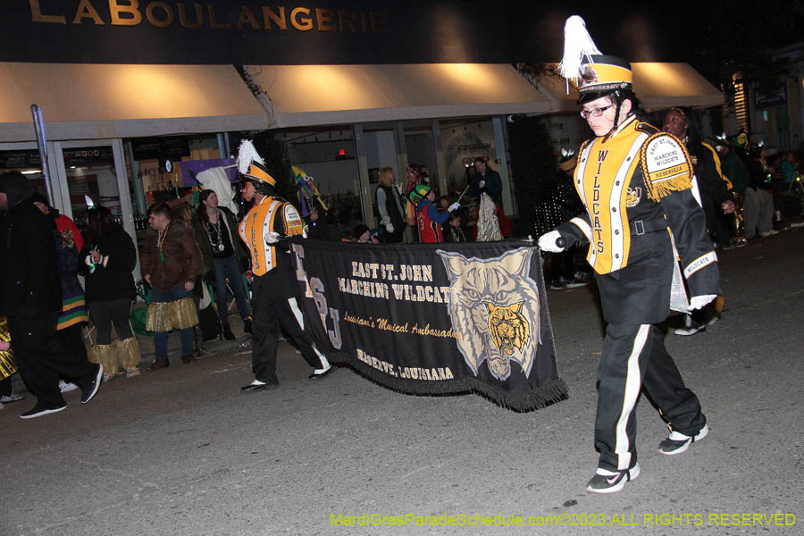 2023-Le-Krewe-Detat-08370