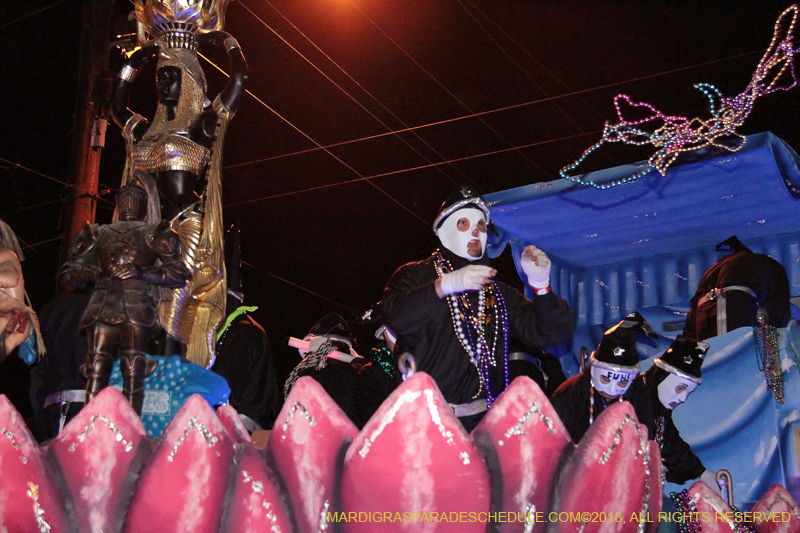 2013-Ancient-Krewe-of-Druids-1176