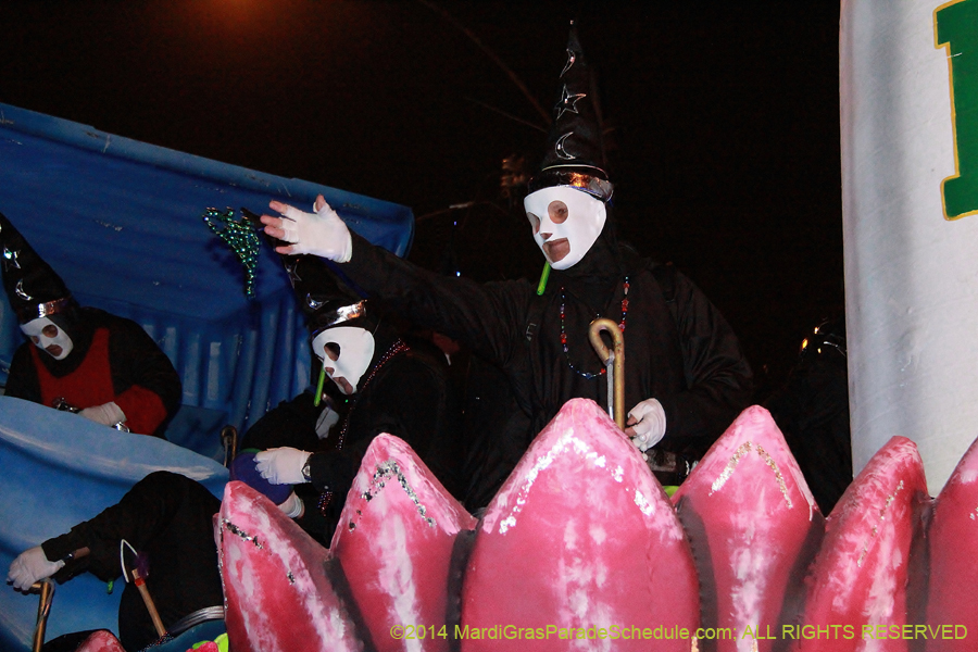 2014-Mystic-Krewe-of-Druids-11121