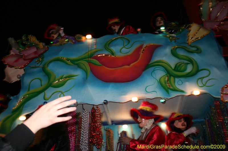 Krewe-of-Endymion-2009-presents-Tales-of-Sleep-and-Dreams-Mardi-Gras-New-Orleans-Super-Krewe-2260