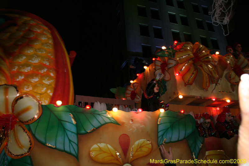 Krewe-of-Endymion-2009-presents-Tales-of-Sleep-and-Dreams-Mardi-Gras-New-Orleans-Super-Krewe-2474