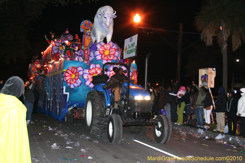 Krewe-of-Endymion-2010-Mardi-Gras-New-Orleans-8768