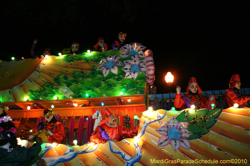 Krewe-of-Endymion-2010-Mardi-Gras-New-Orleans-8803