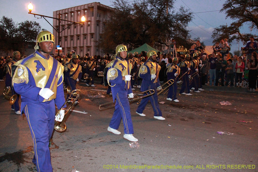 2014-Krewe-of-Endymion-11077