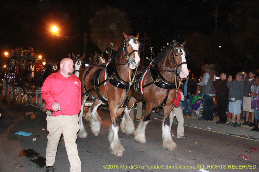 Krewe-of-Endymion-2015-16657