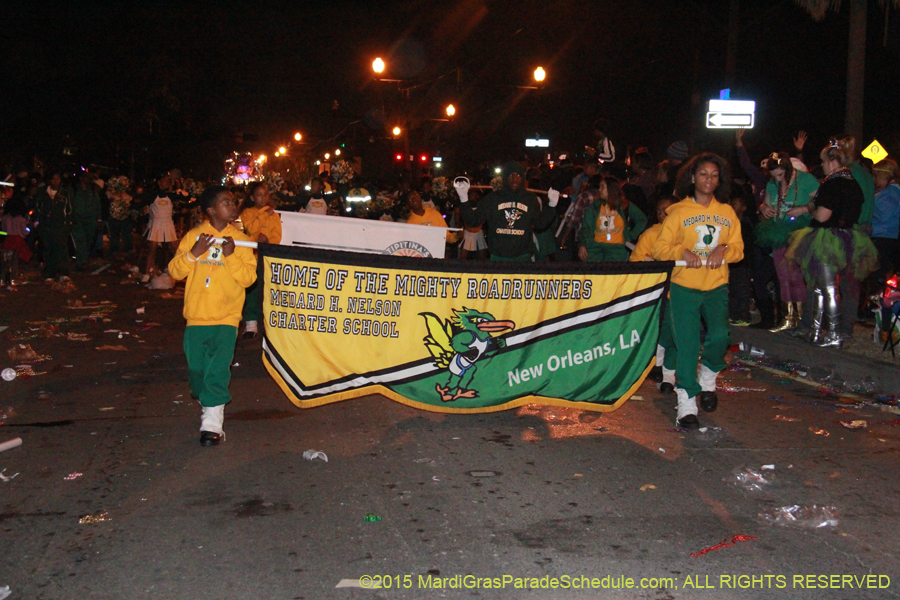 Krewe-of-Endymion-2015-16898