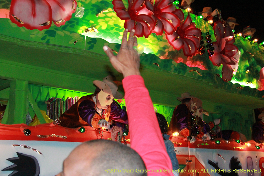 Krewe-of-Endymion-2015-16954