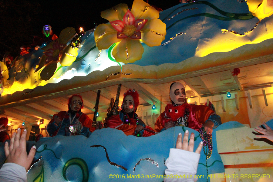 2016-Krewe-of-Endymion-011493