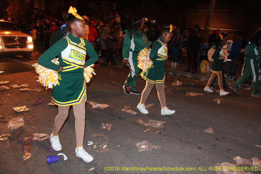 2016-Krewe-of-Endymion-011528