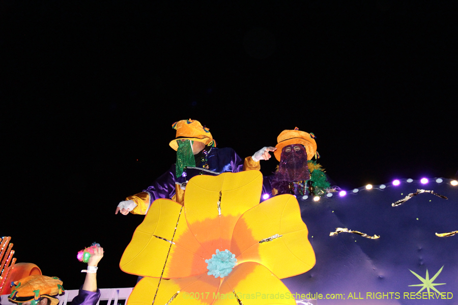 Krewe-of-Endymion-2017-09291