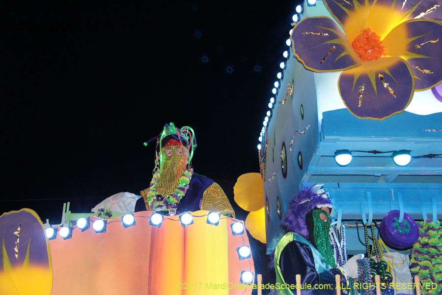 Krewe-of-Endymion-2017-09585