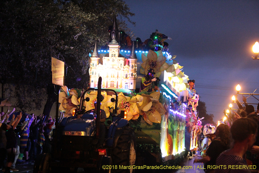 2018-Krewe-of-Endymion-00006354