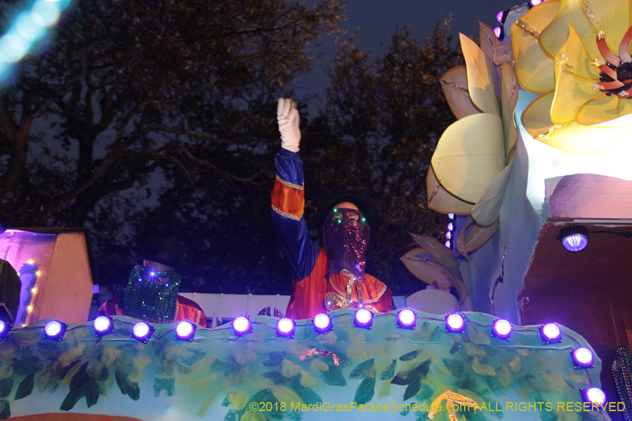 2018-Krewe-of-Endymion-00006357