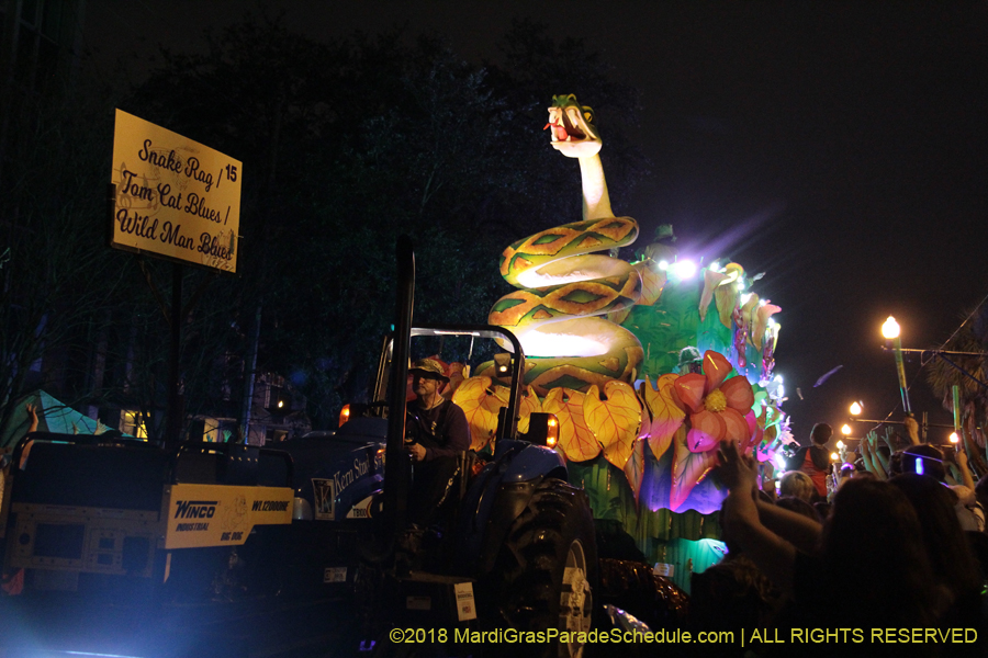 2018-Krewe-of-Endymion-00006399