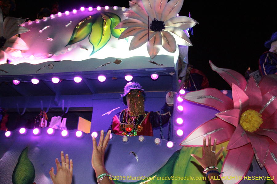 Krewe-of-Endymion-2019-007535