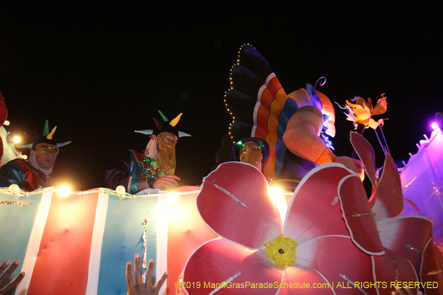 Krewe-of-Endymion-2019-007565