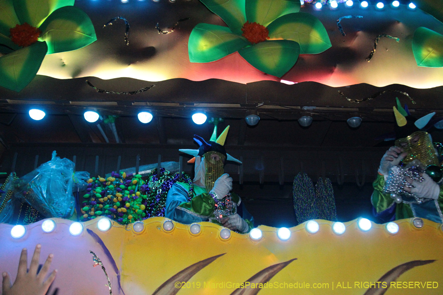 Krewe-of-Endymion-2019-007699