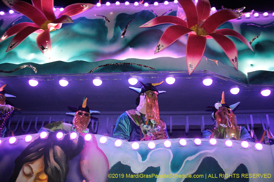 Krewe-of-Endymion-2019-007704