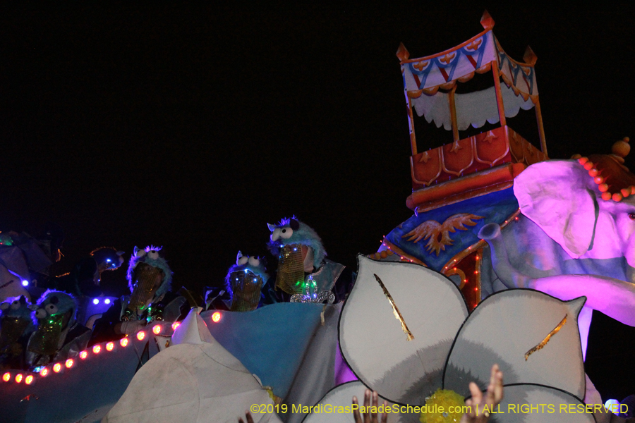 Krewe-of-Endymion-2019-007804