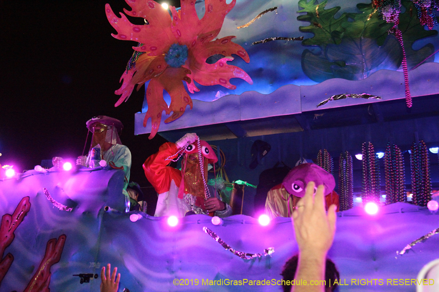 Krewe-of-Endymion-2019-007841