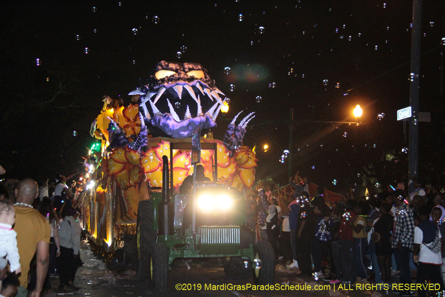 Krewe-of-Endymion-2019-007858