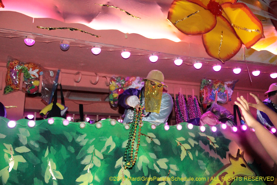 Krewe-of-Endymion-2019-007893