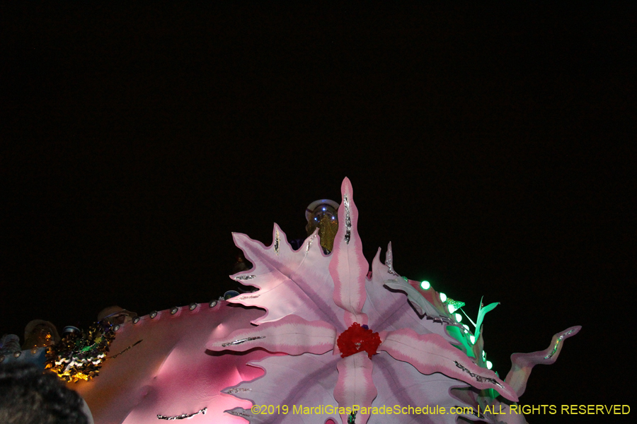 Krewe-of-Endymion-2019-007894