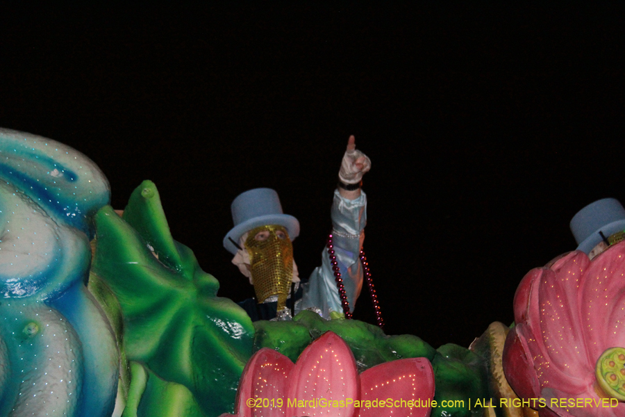 Krewe-of-Endymion-2019-007911