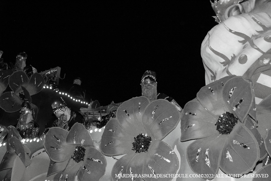 Krewe-of-Endymion-00134-2022