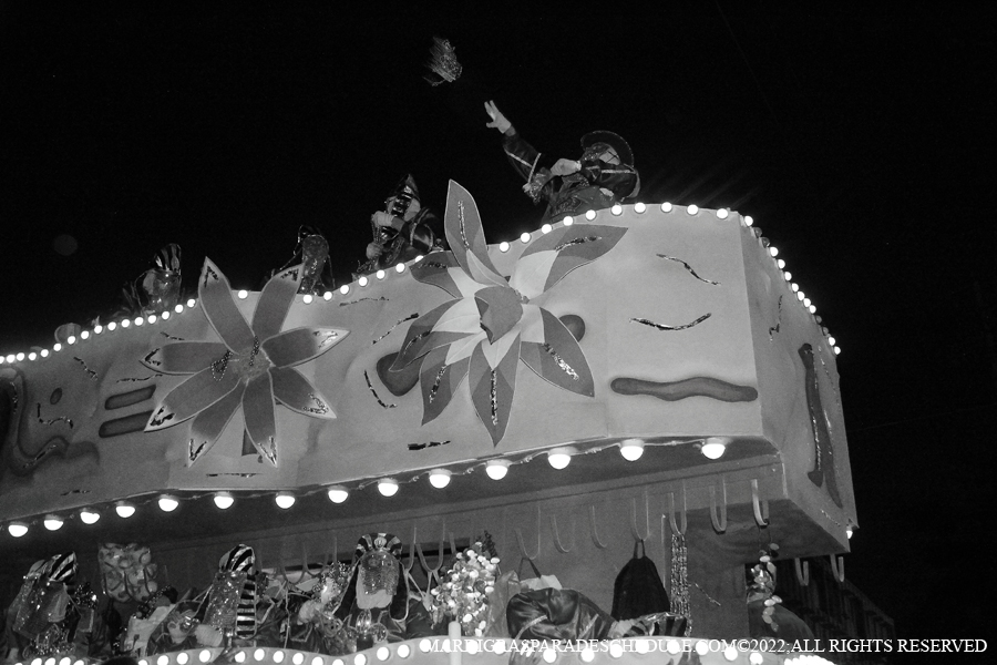 Krewe-of-Endymion-00202-2022