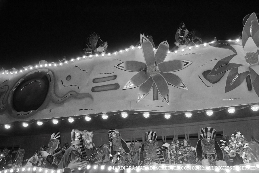 Krewe-of-Endymion-00203-2022