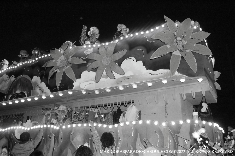 Krewe-of-Endymion-00258-2022