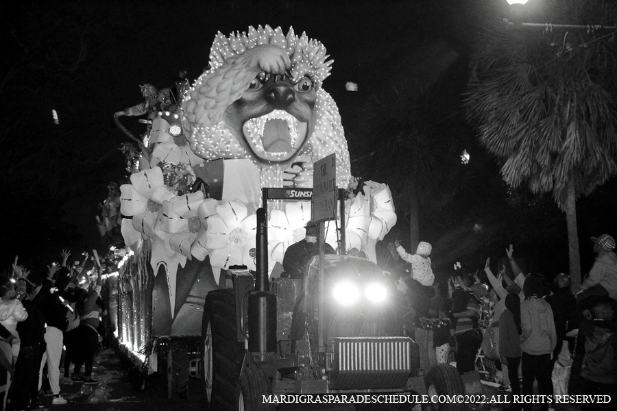 Krewe-of-Endymion-00262-2022