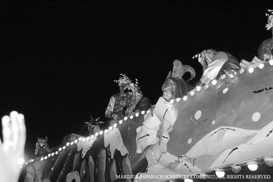 Krewe-of-Endymion-00265-2022