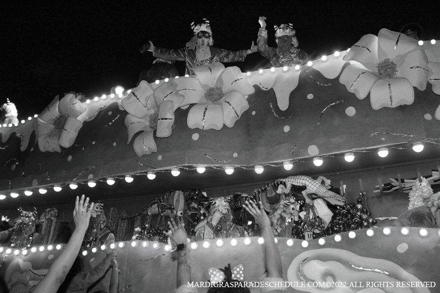 Krewe-of-Endymion-00273-2022