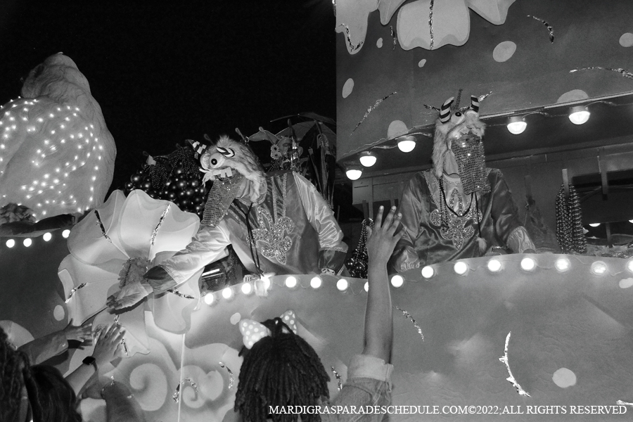 Krewe-of-Endymion-00276-2022