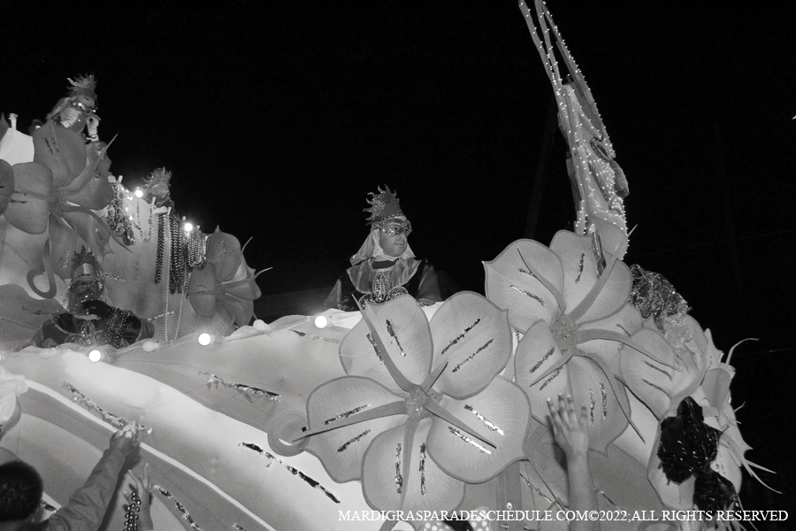 Krewe-of-Endymion-00314-2022