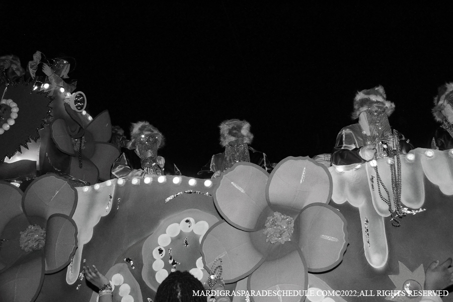 Krewe-of-Endymion-00321-2022