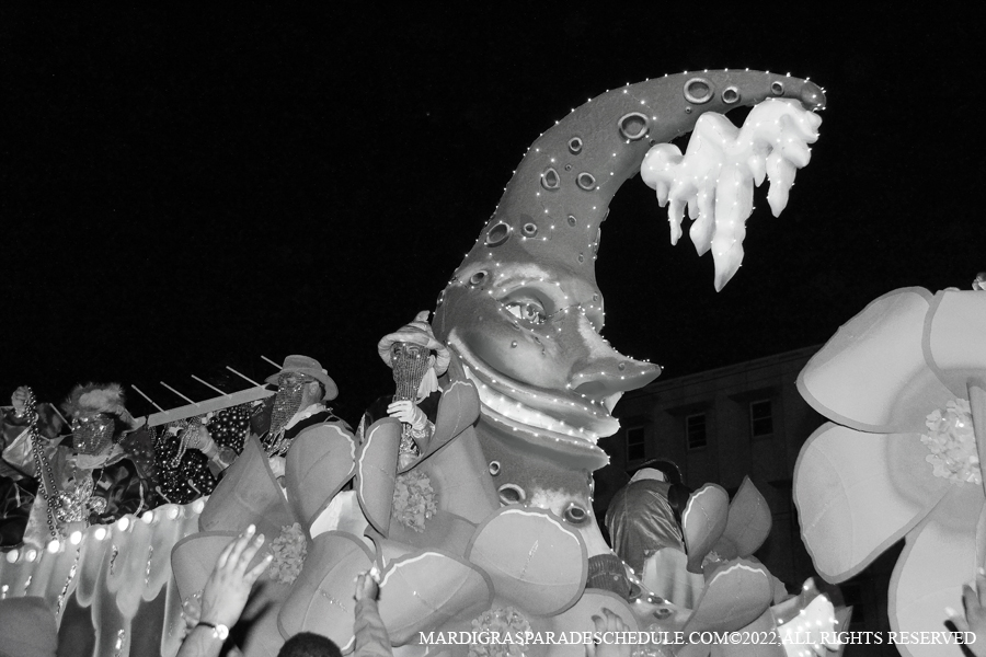 Krewe-of-Endymion-00326-2022