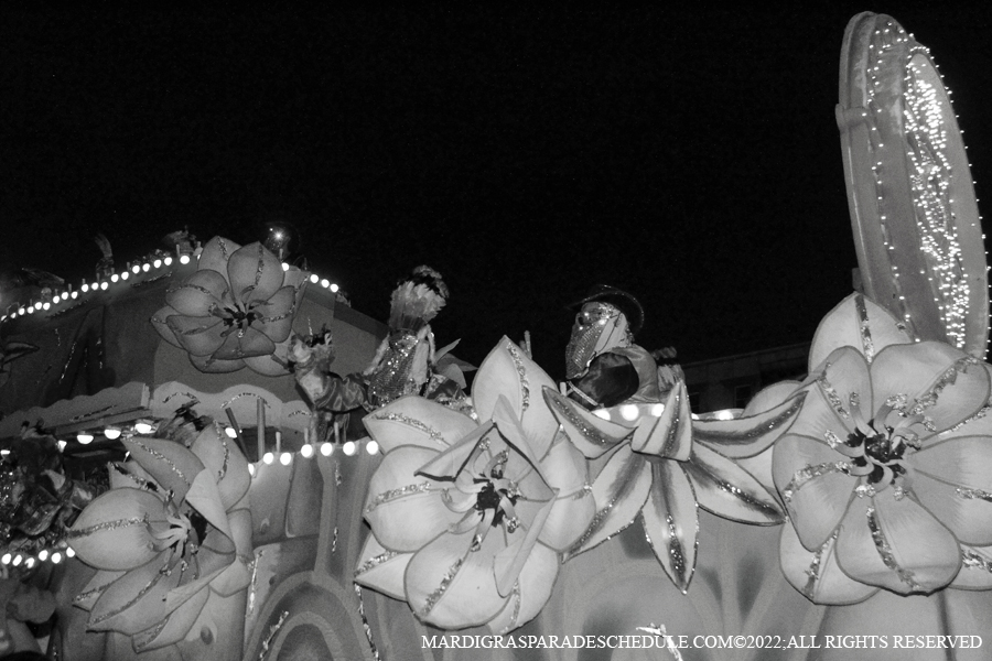 Krewe-of-Endymion-00382-2022