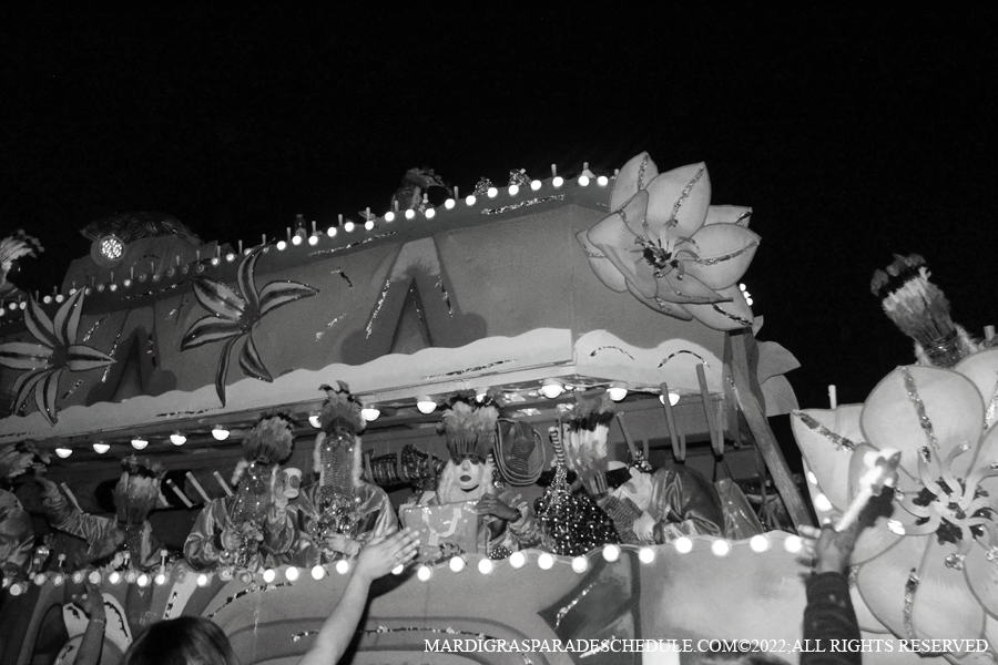 Krewe-of-Endymion-00383-2022