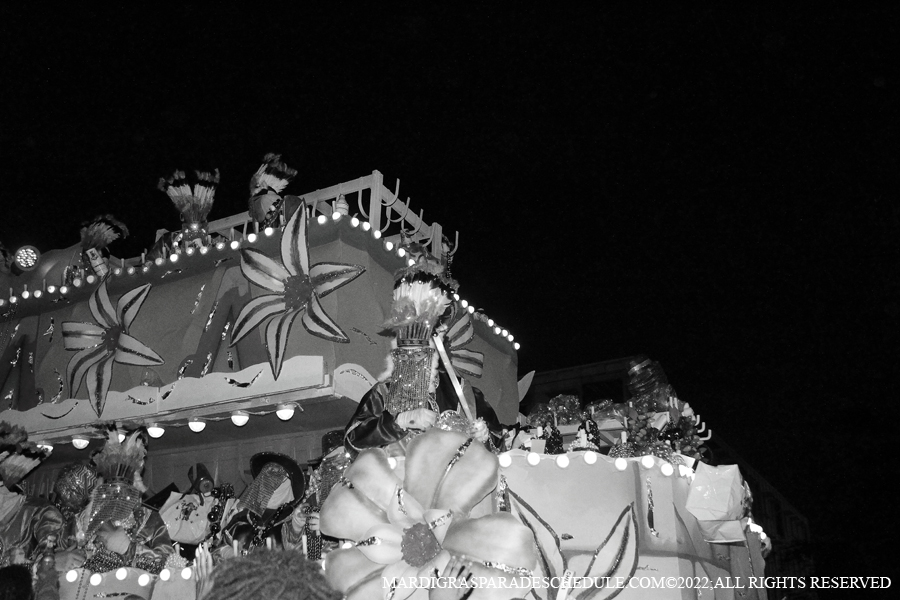 Krewe-of-Endymion-00389-2022