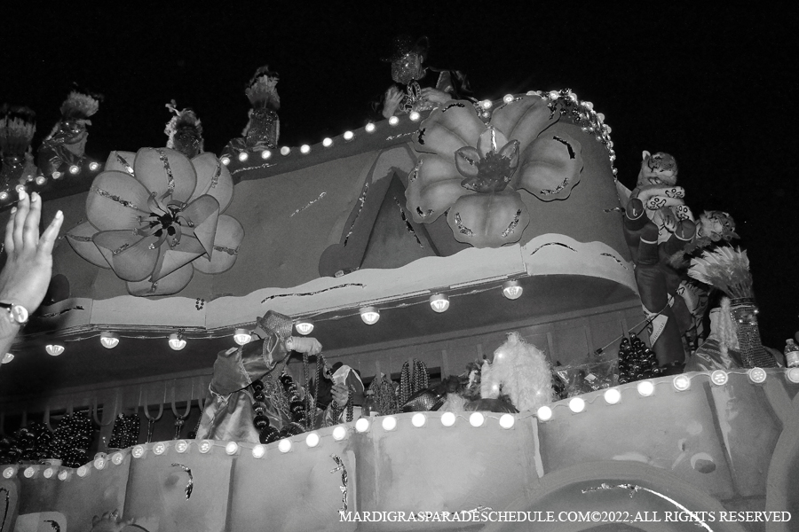 Krewe-of-Endymion-00395-2022